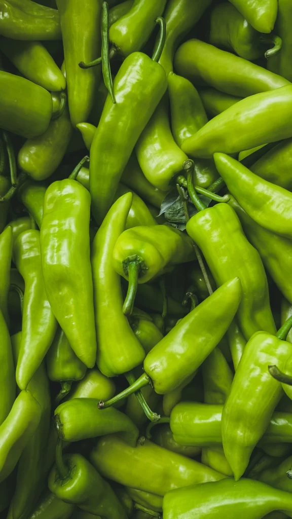Timsa Vegetable Vegetables & Fruits – Tilara Overseas